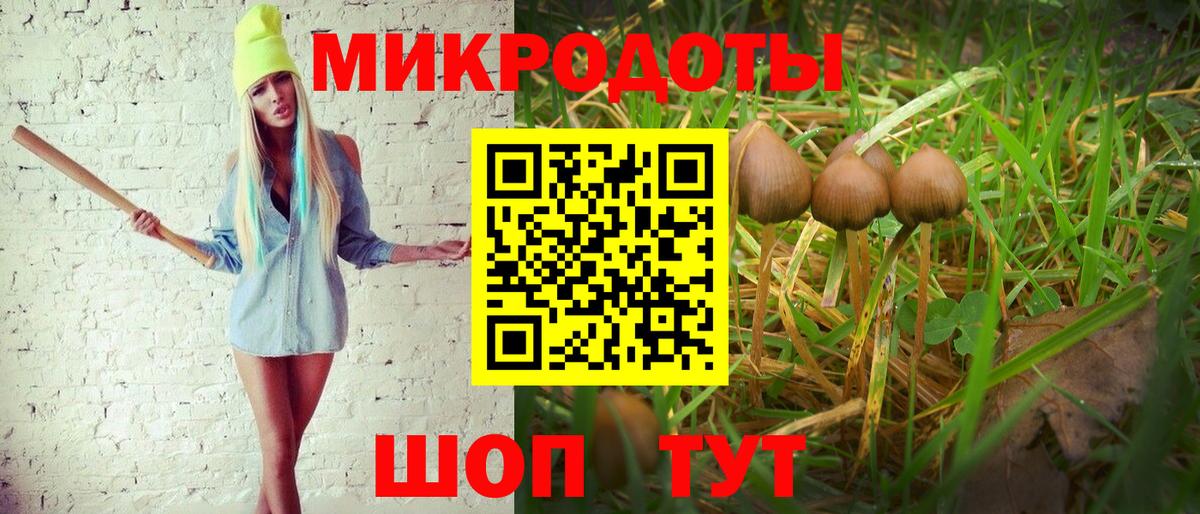 Галлюциногенные грибы Magic Shrooms Железноводск