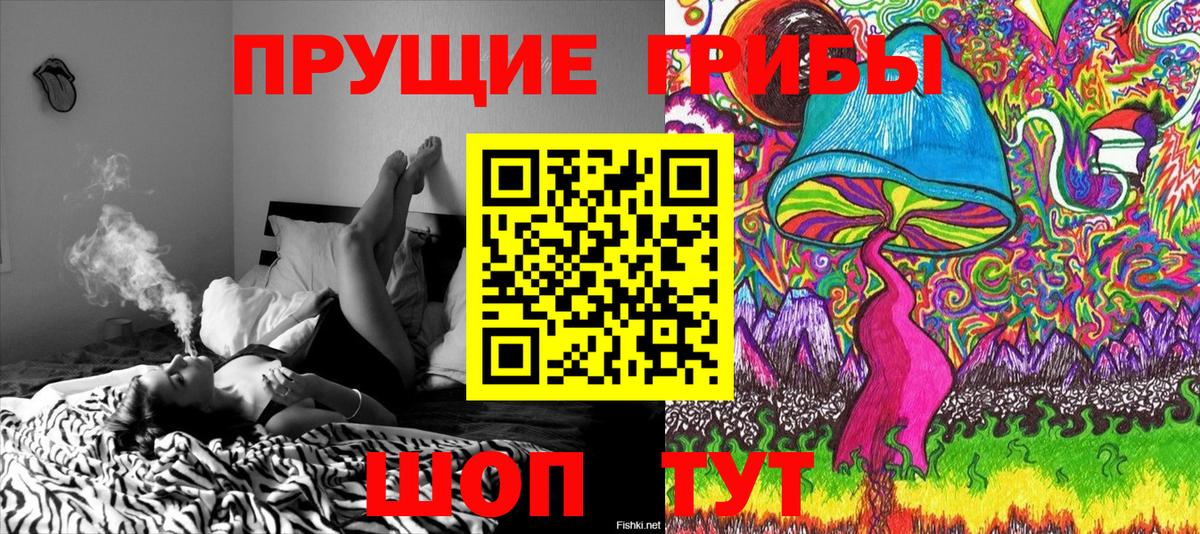 купить наркотики цена  Вход с VPN  Железноводск  Галлюциногенные грибы Psilocybe 